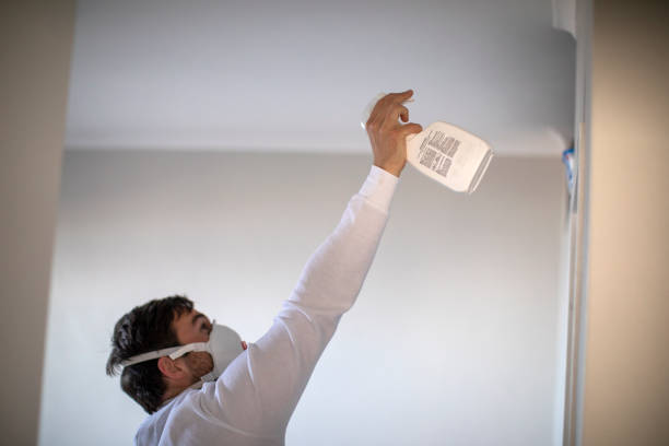 Best Kitchen Mold Remediation in Briggs, OK