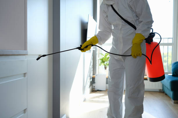 Best Emergency Mold Remediation in Briggs, OK