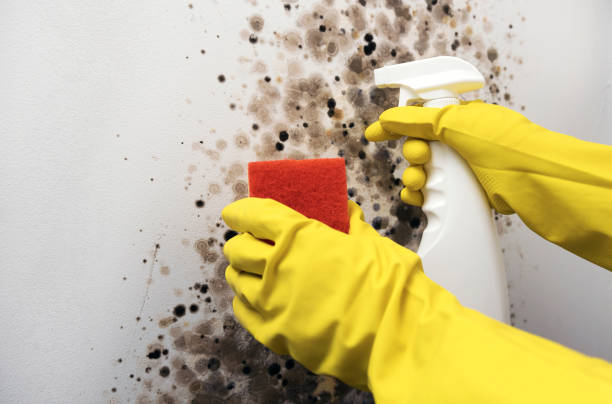 Best Post-Remediation Services in Briggs, OK