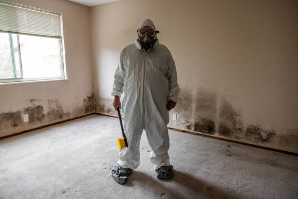 Reliable Briggs, OK Mold Remediation Solutions